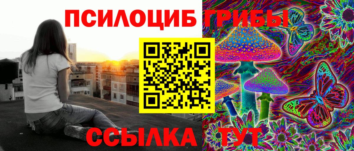 Псилоцибиновые грибы GOLDEN TEACHER  купить закладку  Ростов-на-Дону  Вход с VPN 